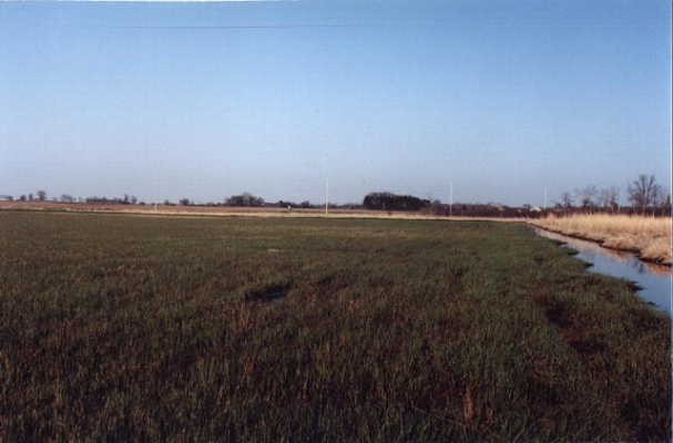 The squelchy stubble field I slogged across