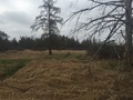 #6: View to the south from the confluence. 