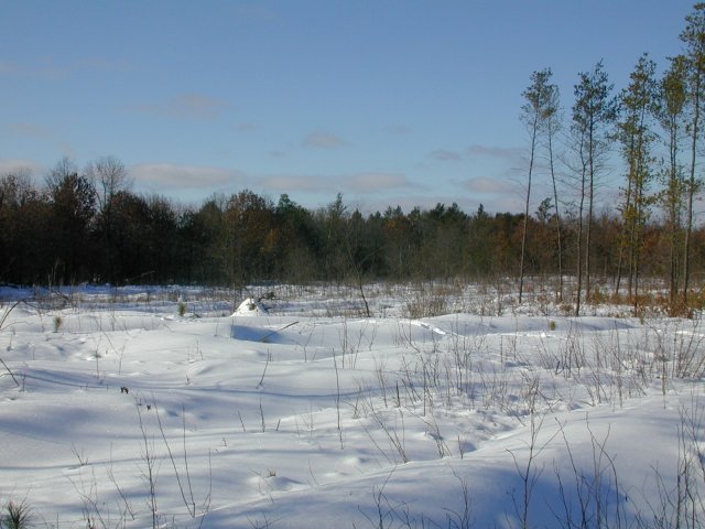 Looking west.  Good shot of the "lumpy" terrain trying to hide under an 18" snow cover.