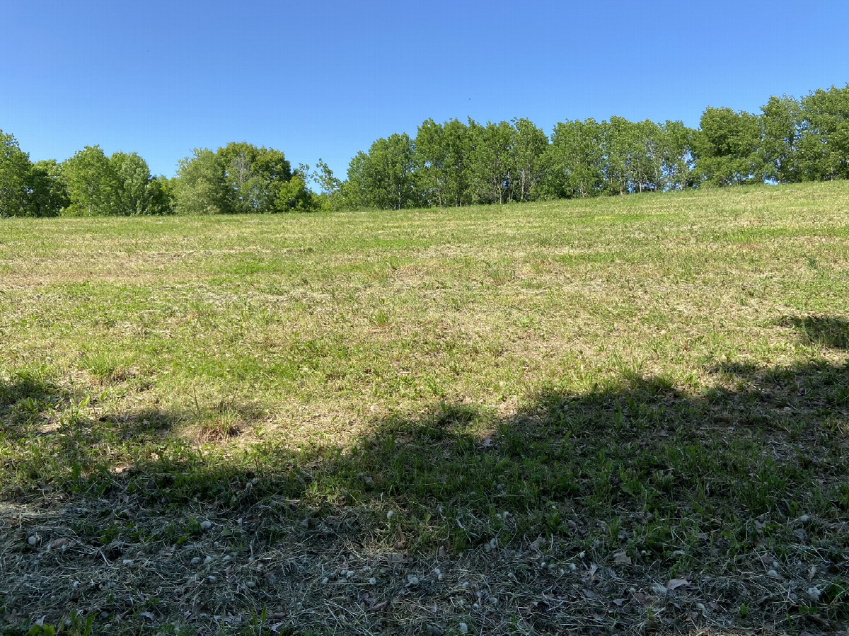 View to the north from the confluence point.