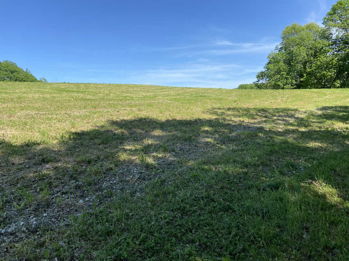 The view to the east from the confluence point.