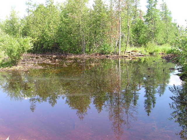 The confluence point lies on the left side of this bog.  Good luck reaching the precise point in summertime!