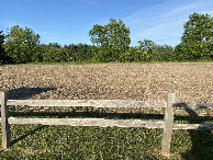 #3: The view to the east from the confluence point.