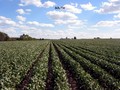 #3: View to the South