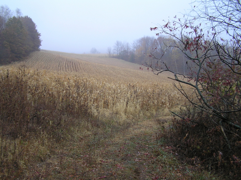 Confluence field from 250 meters to the north, looking south.  The confluence lies on the far side of the field.