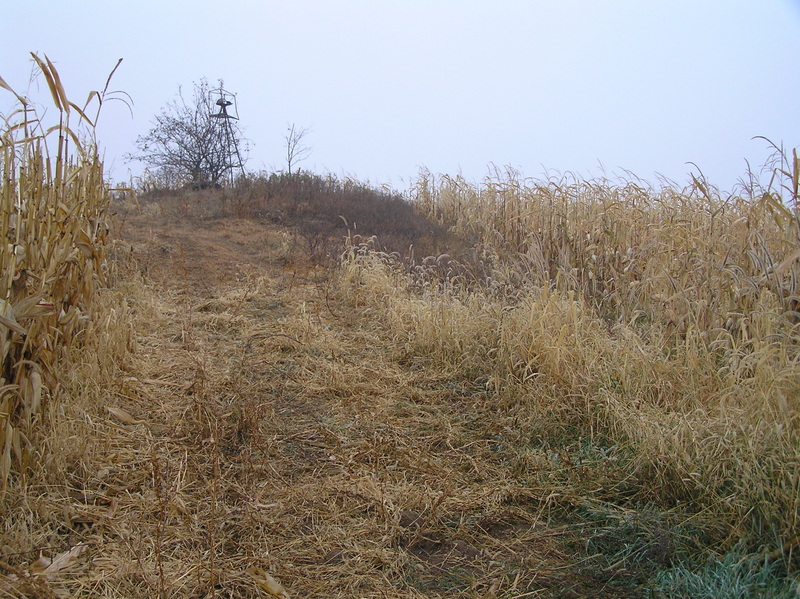 View to the south-southeast from the confluence.