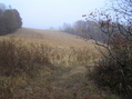 #5: Confluence field from 250 meters to the north, looking south.  The confluence lies on the far side of the field.