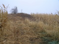 #9: View to the south-southeast from the confluence.