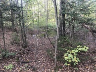 #5: View to the north from the confluence point.