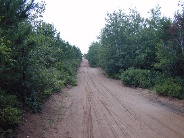 Looking west down the sand"road" just south of 46N-92W