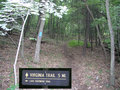 #5: A half mile hike up the Virginia Trail provides an easy approach to 38N 80W.