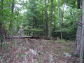 #7: View downhill from the Virginia/ West Virginia border towards 38N 80W.