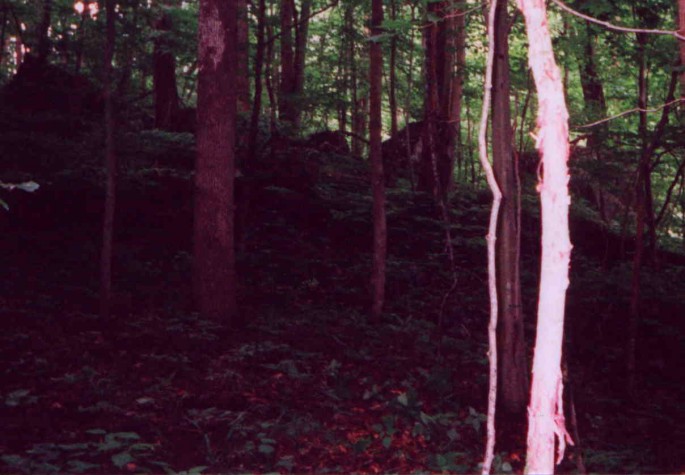 View to East showing 10meter diameters boulders and stream to right.