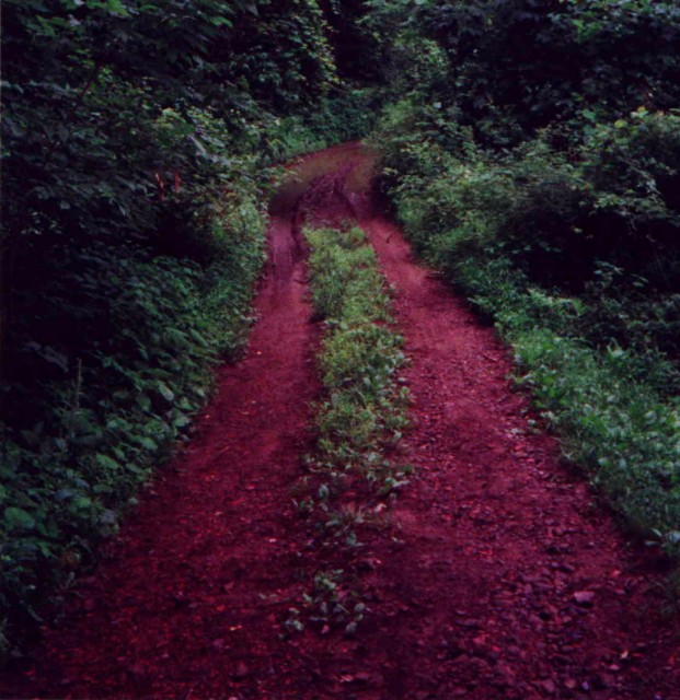 My bike was stopped by this mud hole on the stone access trail forcing a 2.5 mile hike.