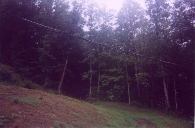 The confluence is 150 meters inside the woods, straight ahead and up.  The road quits at the edge of the woods but the undergrowth is light.