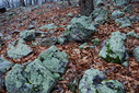 #6: Green rocks near the confluence point