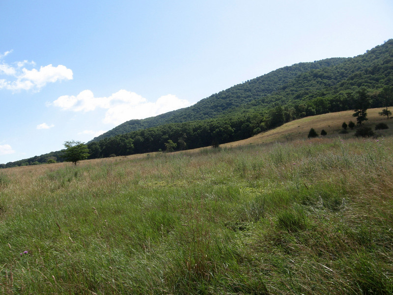 View from the WV State Police station.  Confluence is in the woods in the distance.