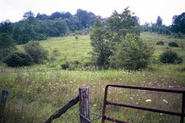 The confluence is 1/4 mile up this small hill