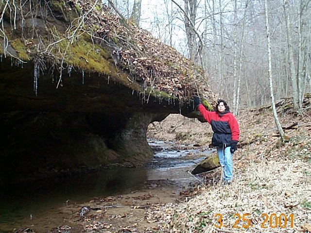 Sandstone outcrop over tributary of Trace Fork 400' South of Confluence.