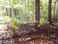 #3: View south down the steep slop and the road.