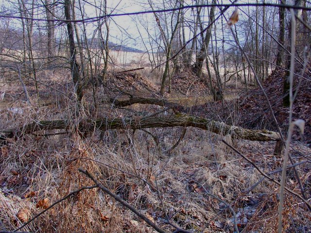 A slightly different view from the confluence point.