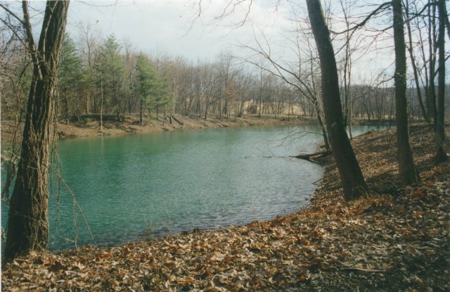 A nearby pond.