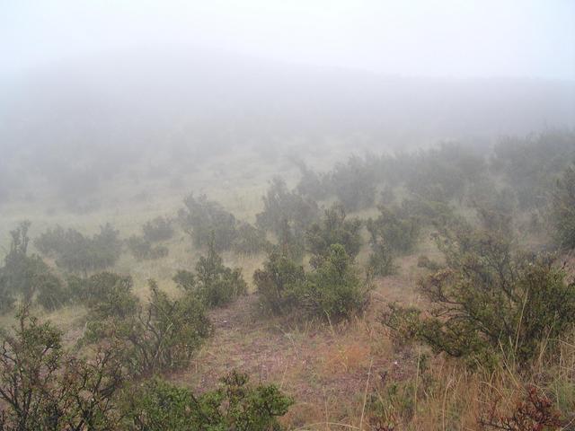 Looking northeast from "Confluence Hill"