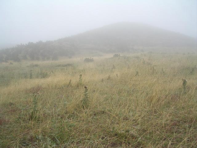 Looking southeast towards the confluence