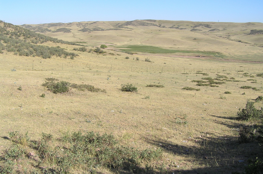 View to the northwest from the confluence. 