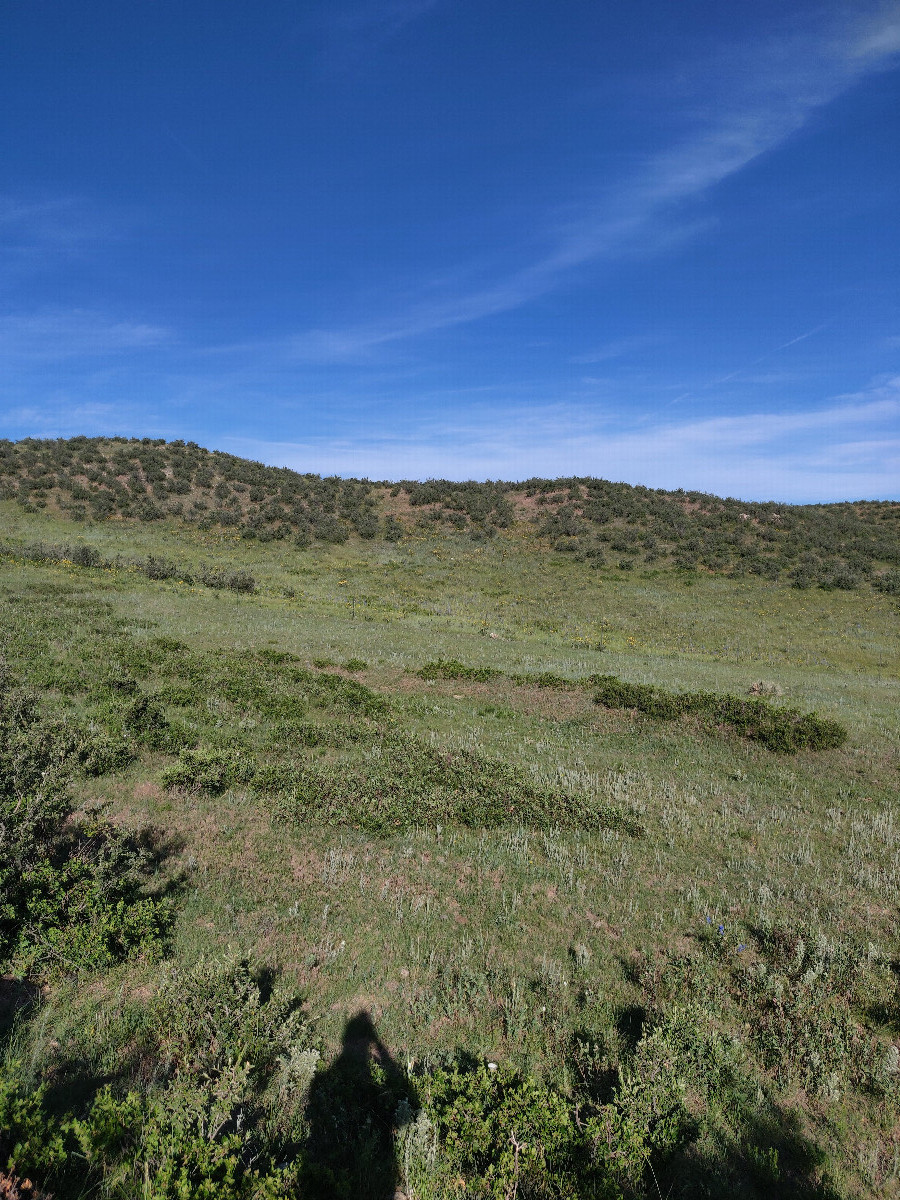 View to West from confluence point