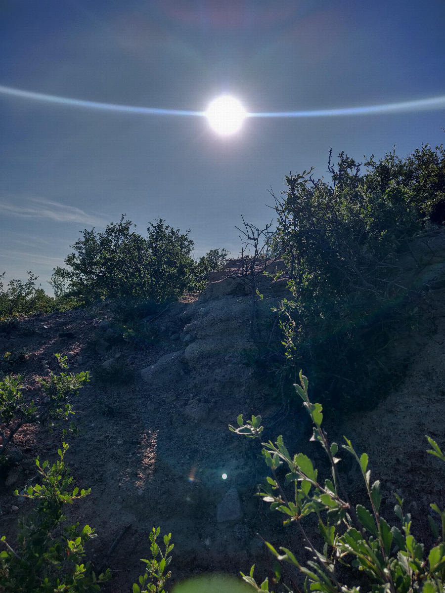 View to east from confluence point