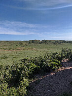 #3: View to North from confluence point