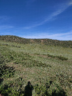 #4: View to West from confluence point