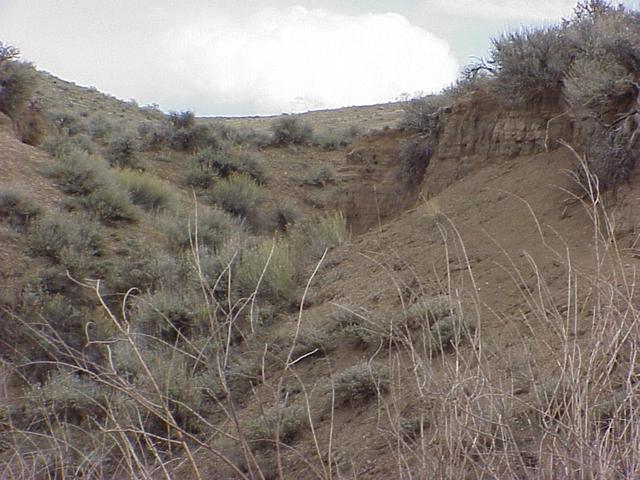 View to the southwest from the confluence point, down Maggie Creek.