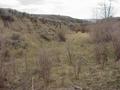 #6: Looking downstream along Maggie Creek, 50 meters southwest of the confluence.