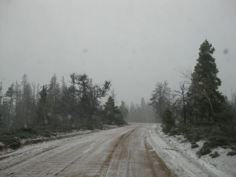 Flash snowstorm in the Laramie Mountains on my way to the site