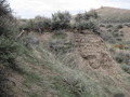 #5: View of the confluence looking northeast