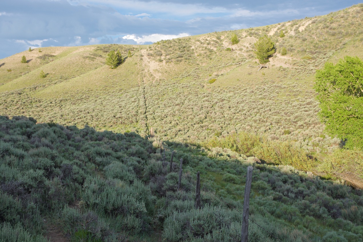 The fence that marks the Wyoming-Colorado state line, about 0.2 miles from the confluence point.  (Wyoming is on the left; Colorado is on the right.)