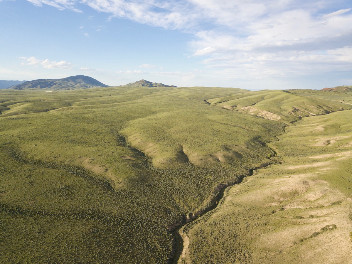 Looking North (up the Maggie Creek drainage) from 120m above the point