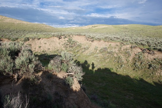 #1: The confluence point lies on the bank of small creek (Maggie Creek - currently dry).  (This is also a view to the East.)