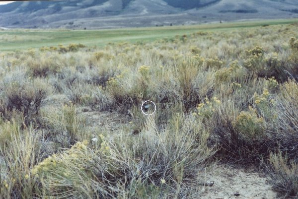 Confluence.  GPS receiver is circled.