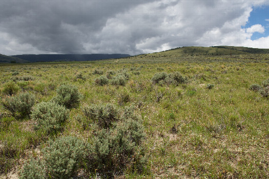 #1: The confluence point lies in sagebrush, just 200 feet East of a rural dirt road.  (This is also a view to the South, towards Utah, just 0,2 miles away.)