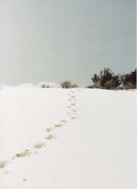 Our footprints coming from confluence.