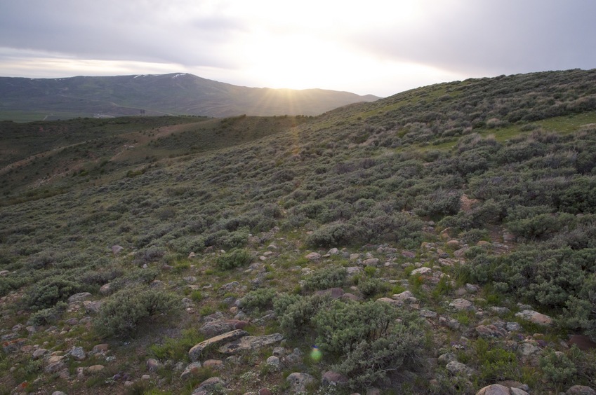 View West (into the setting sun)