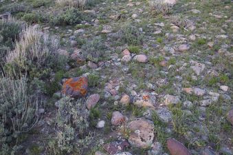 #1: The confluence point lies near the top of a rock-strewn ridge