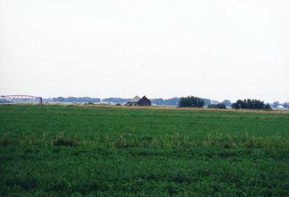 dilapidated house (southeast)