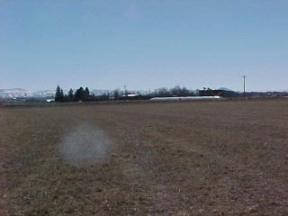 #1: Alfalfa field