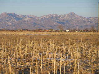 #1: View to the west from the confluence in wild, wonderful Wyoming.