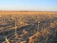 #5: View to the north-northwest from the confluence in the early morning light.