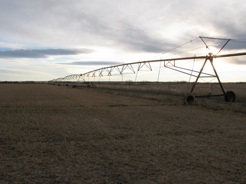 Sprinkler irrigation system